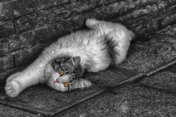 streching