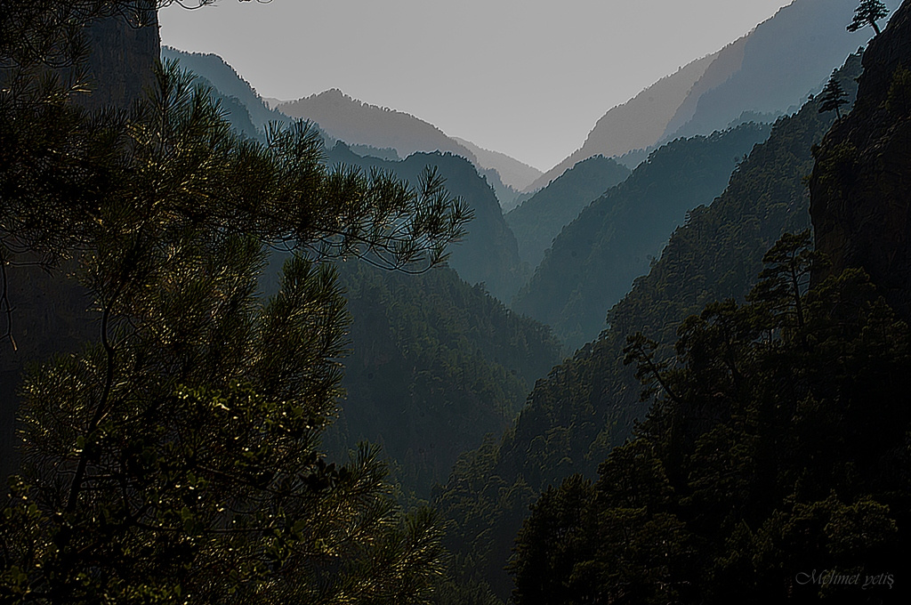 doğadan