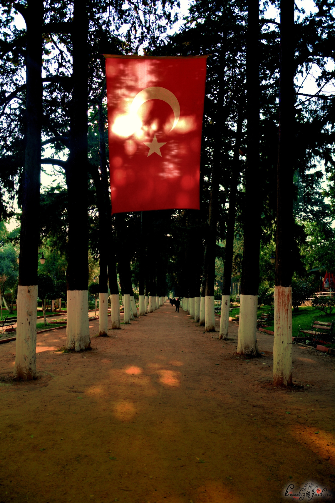 Bazen Tek Bir Kare...