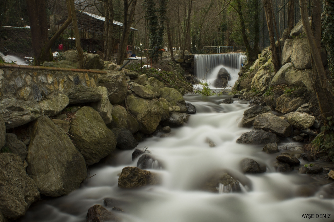 Sapanca.Mahmudiye Köyü.Naturköy..