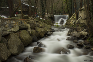 Sapanca.Mahmudiye Köyü.Naturköy..