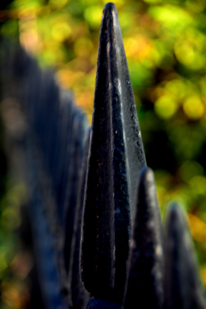 Bokeh