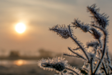 Frozen...