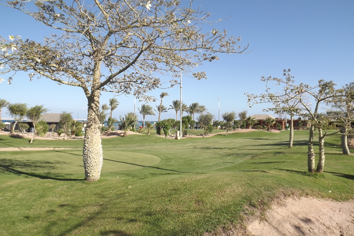 Egypt -Hurghada
