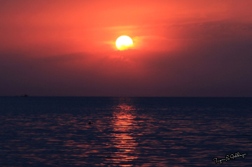Sun Set