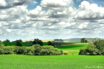 Campo y Sierras