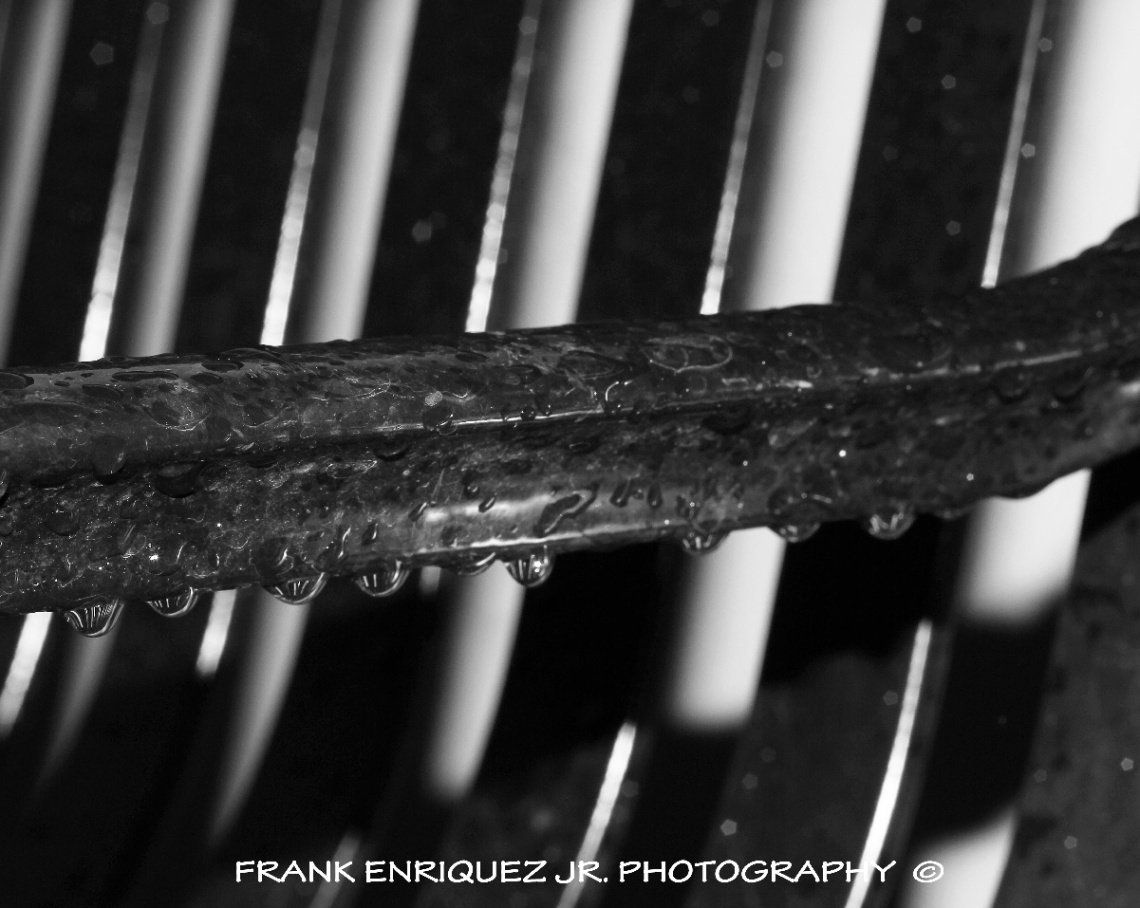 Black and White Rain