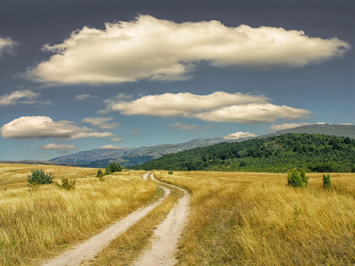 road to anywhere