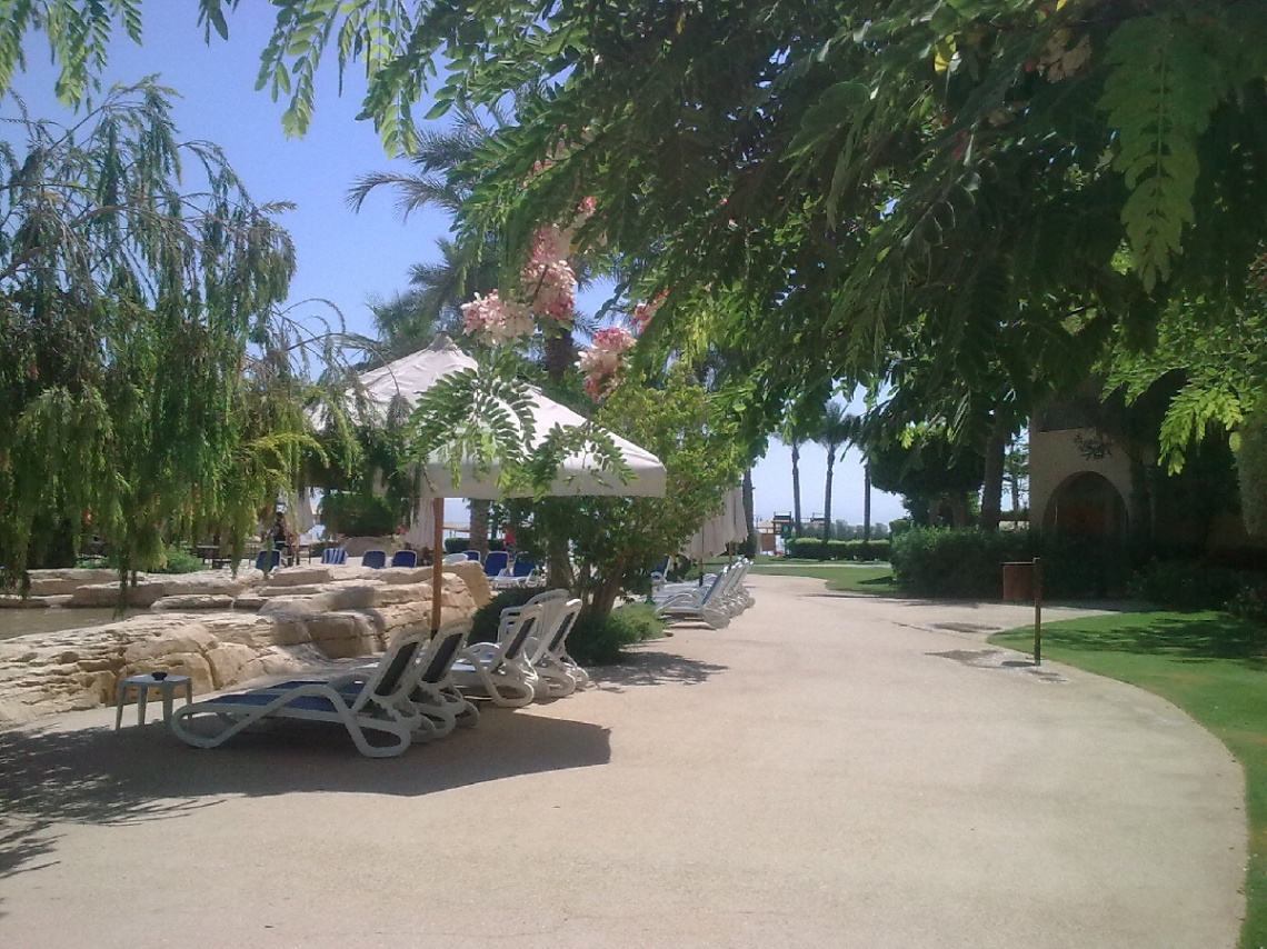 Egypt - good morning