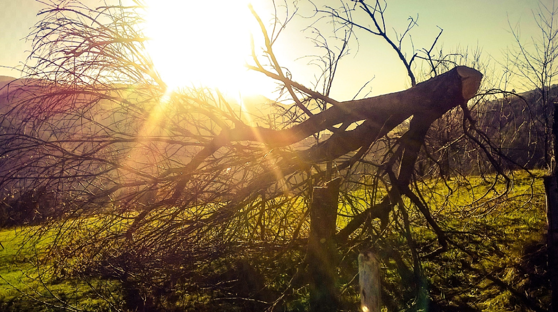in nature