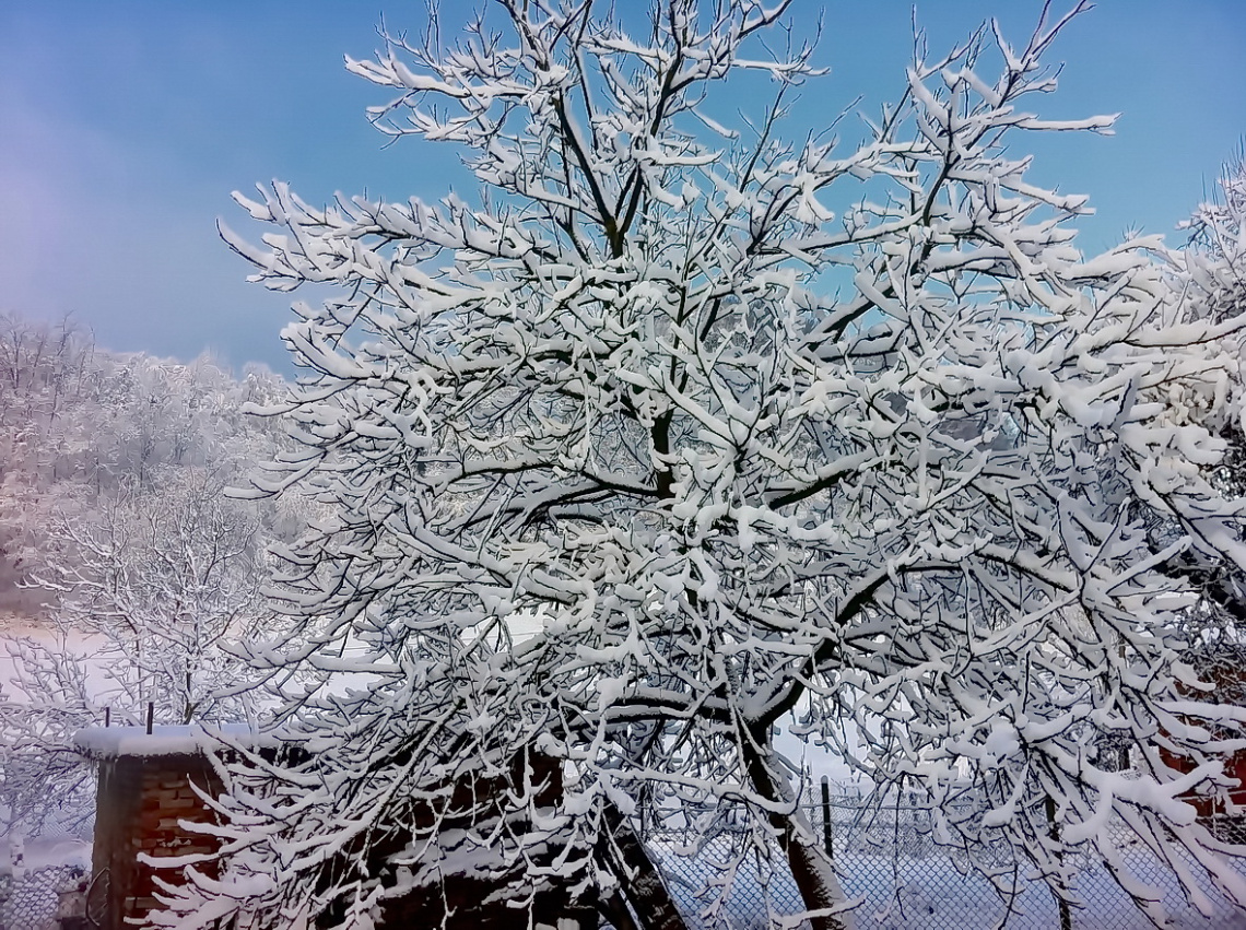 today's  snow