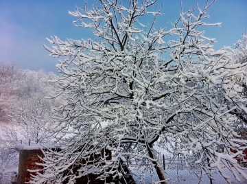 today's  snow