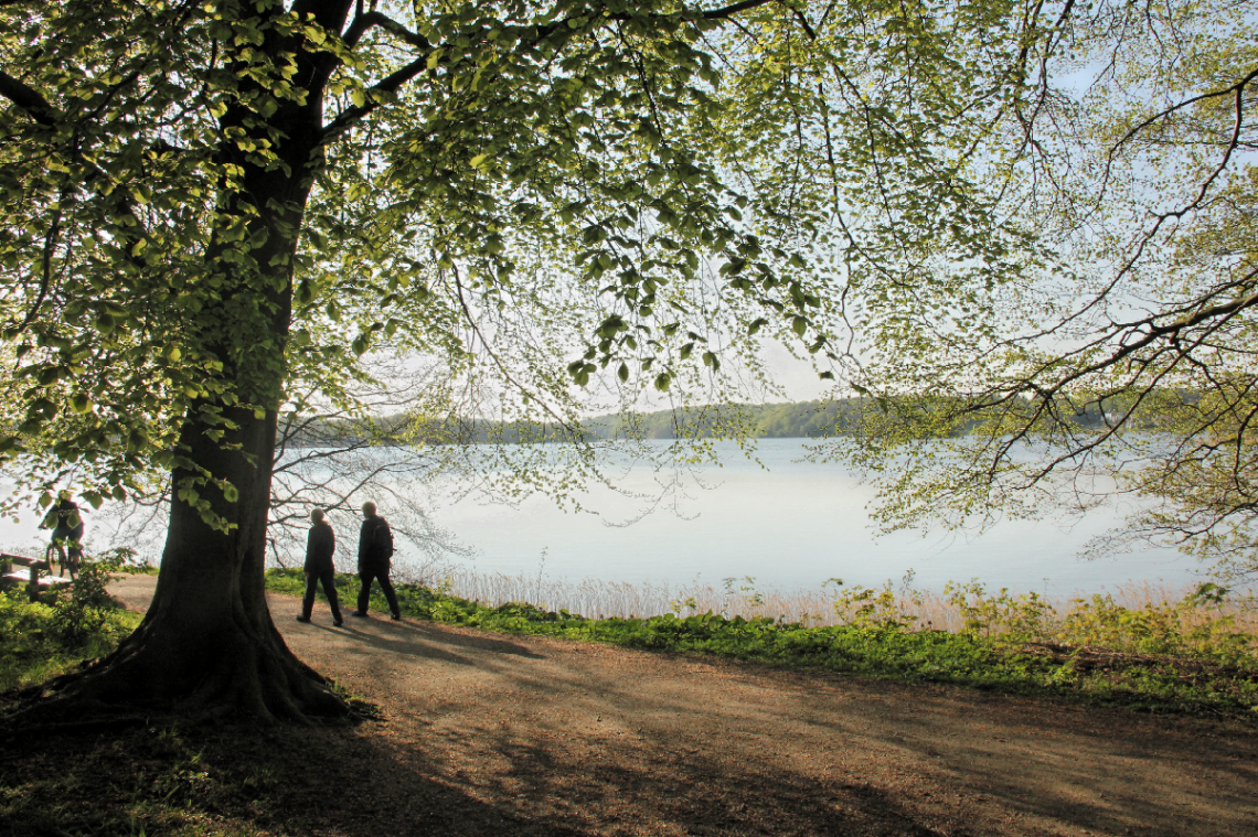 At The Lake...