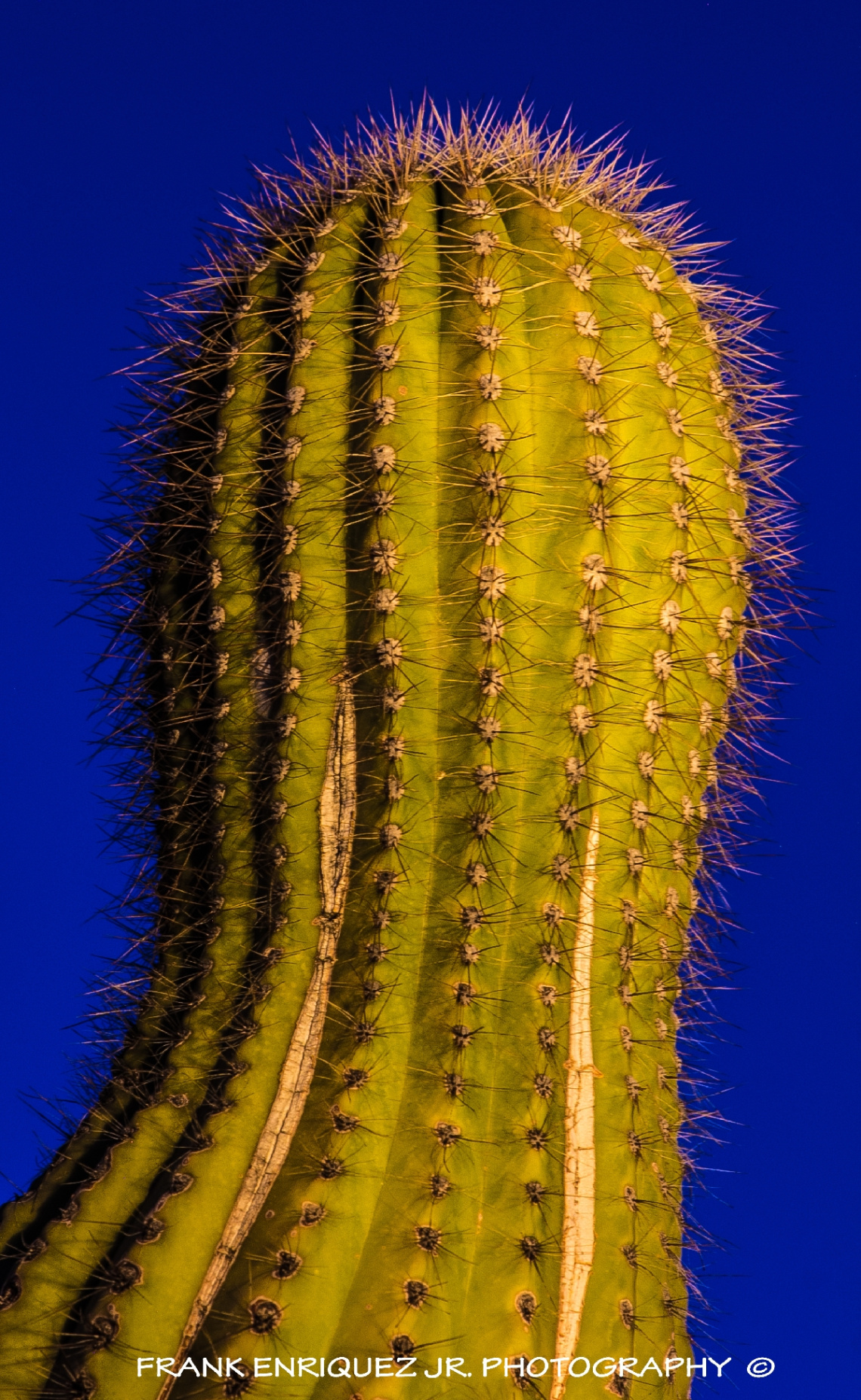 Arizona Night Light Painting 2/9/15
