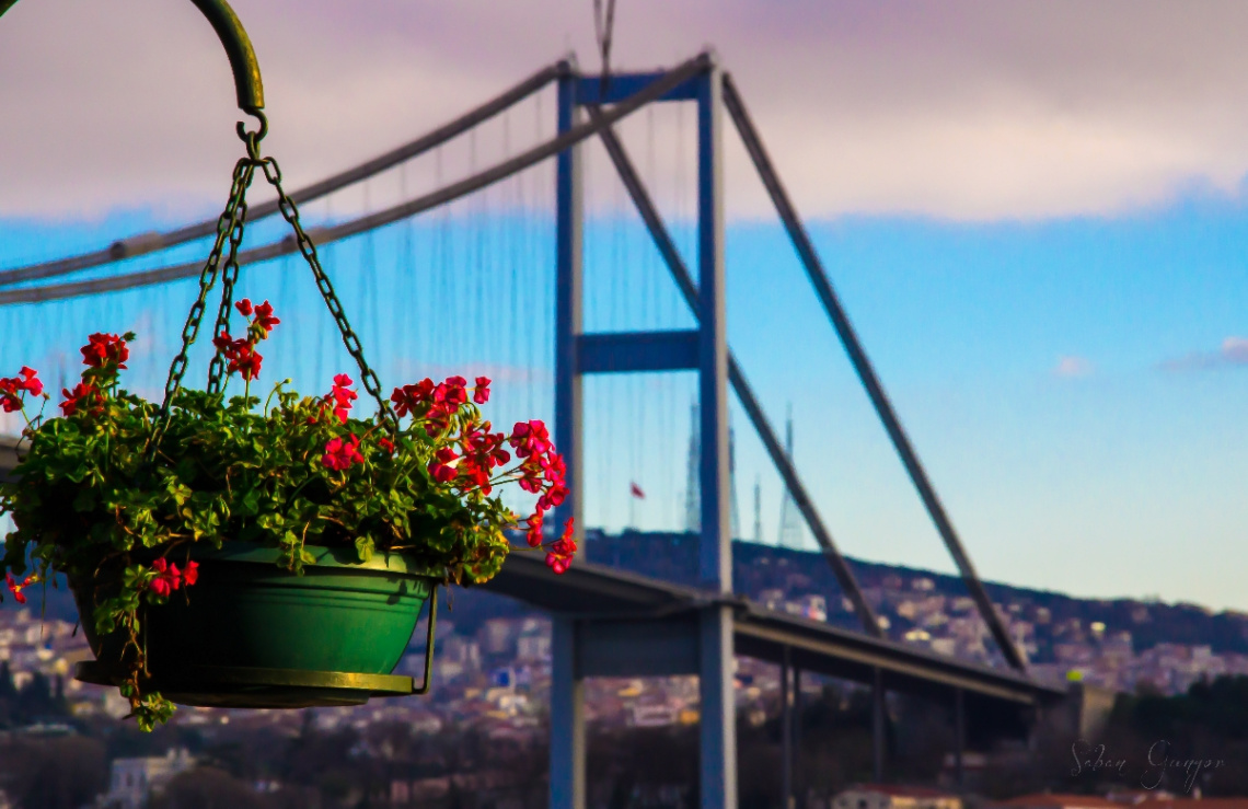 Ortaköy