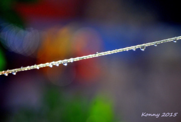 the clothes line.. :)))) 