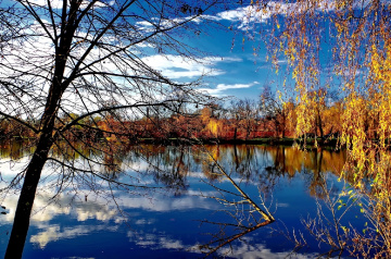 On the  lake