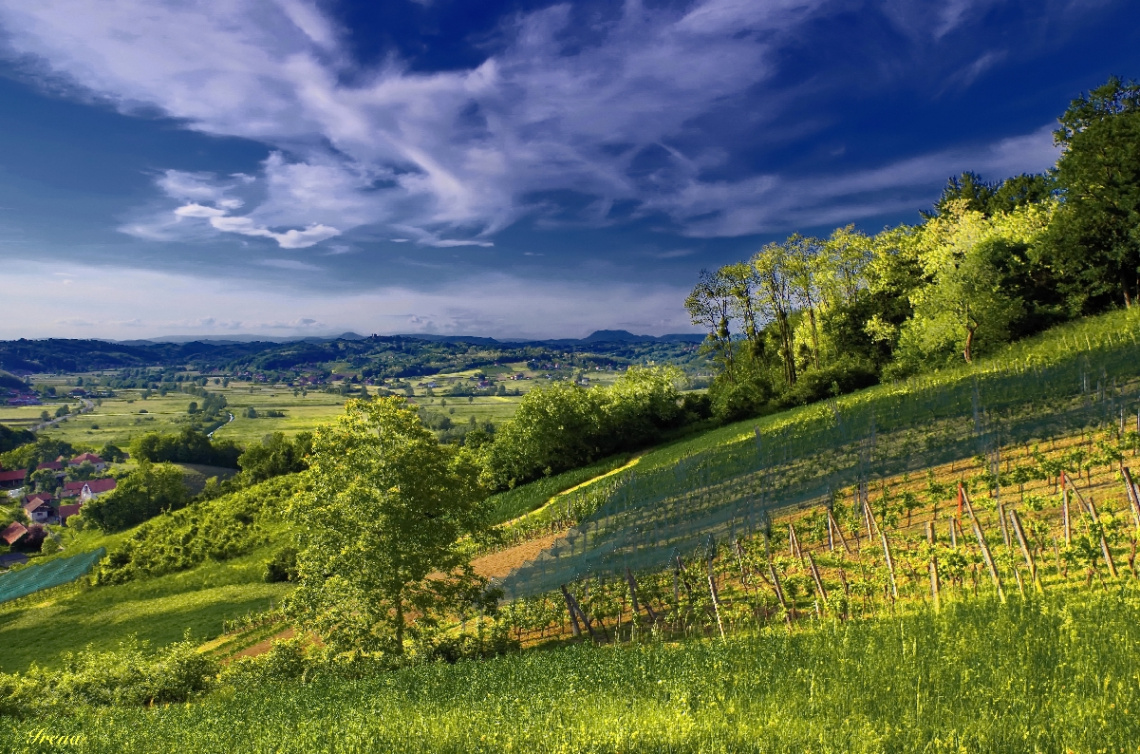 Blue and green