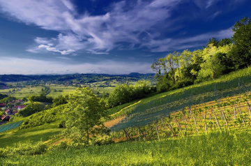 Blue and green