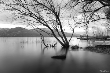 Sapanca