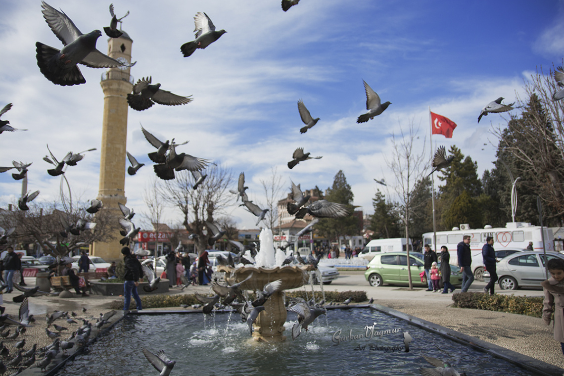 Havuzlu Park