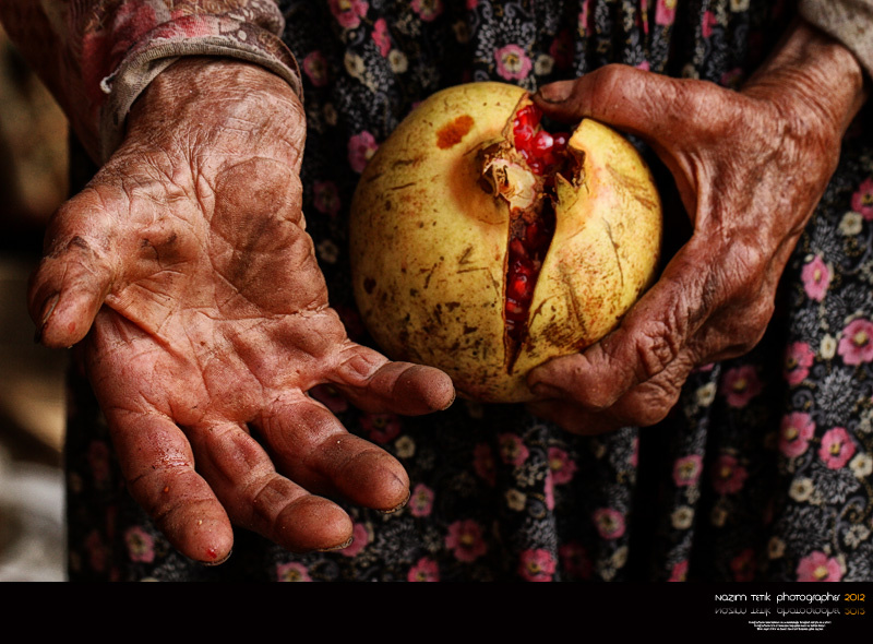 ... ::: Anadolu İkramdır ::: ... 