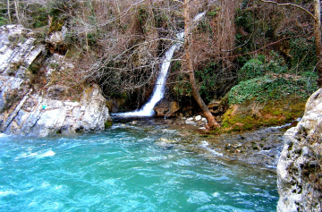 GÜZELLİK
