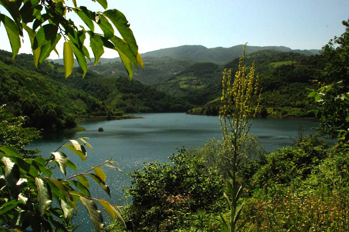 Yuvacık Barajı