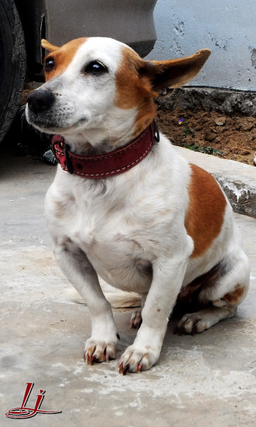 ' I M a Good Girl:TONI '