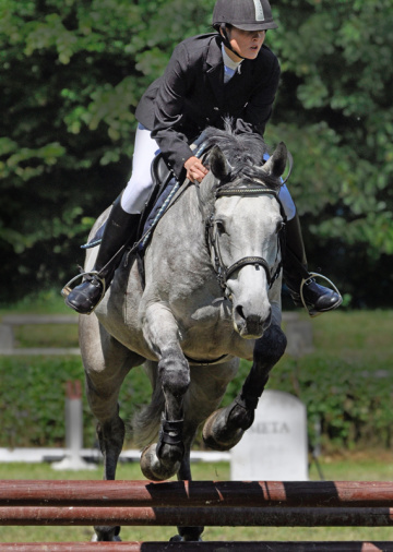 Equestrian