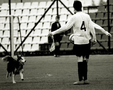 Futbol 