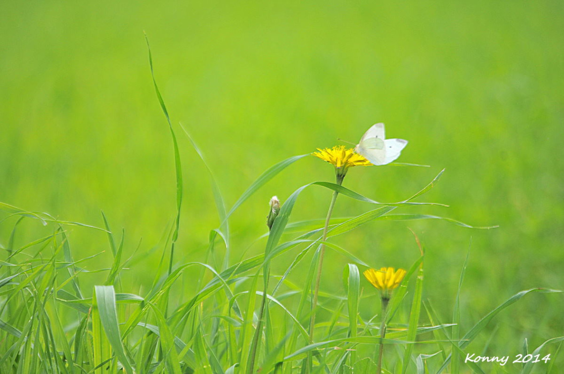 one little moment .. :) 