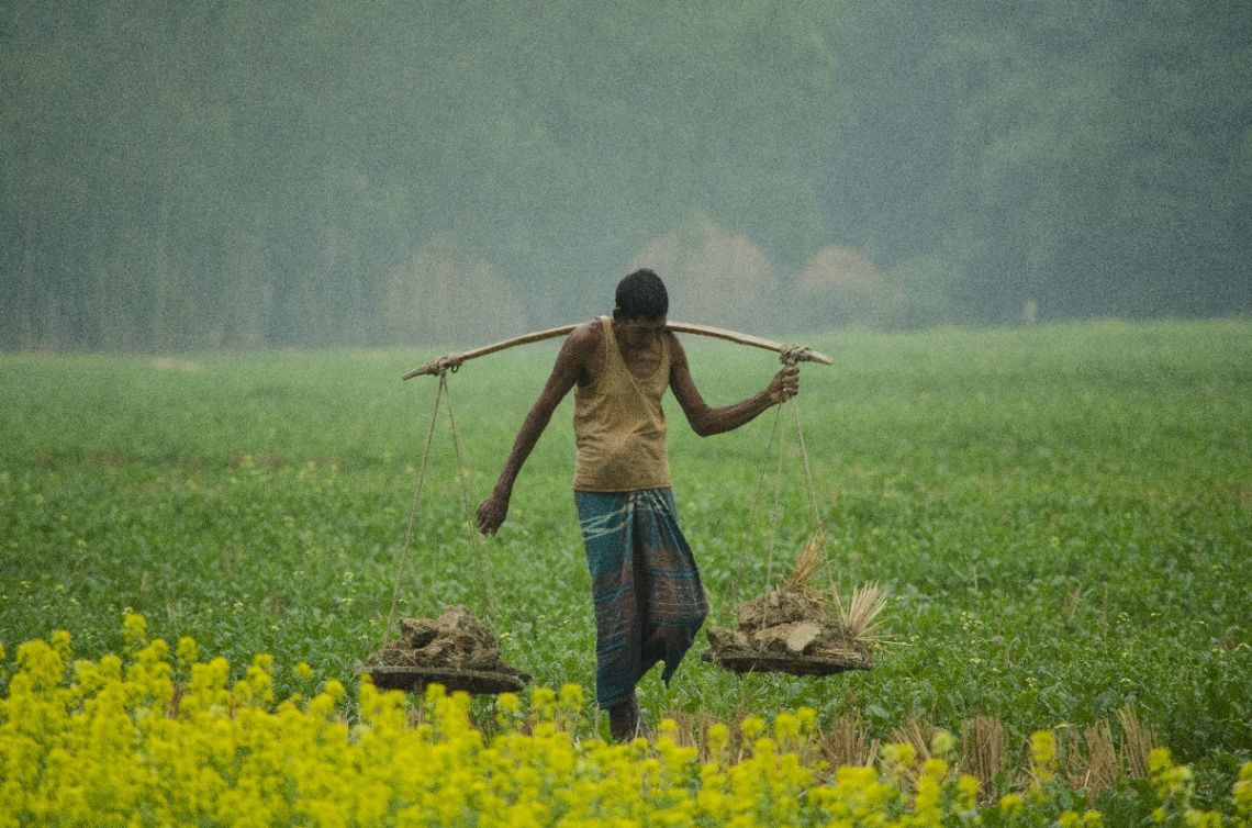 Life around us (Labor and laborer)