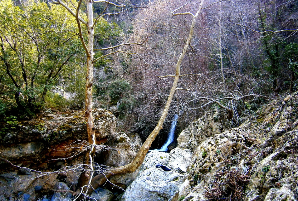 DEĞİRMENDERE