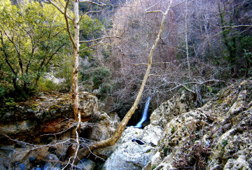 DEĞİRMENDERE