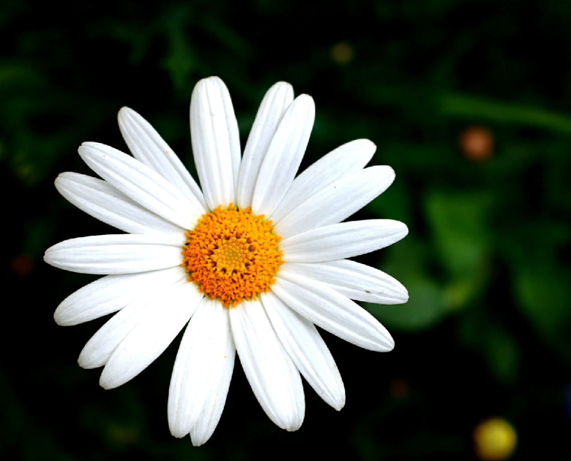 Margaret