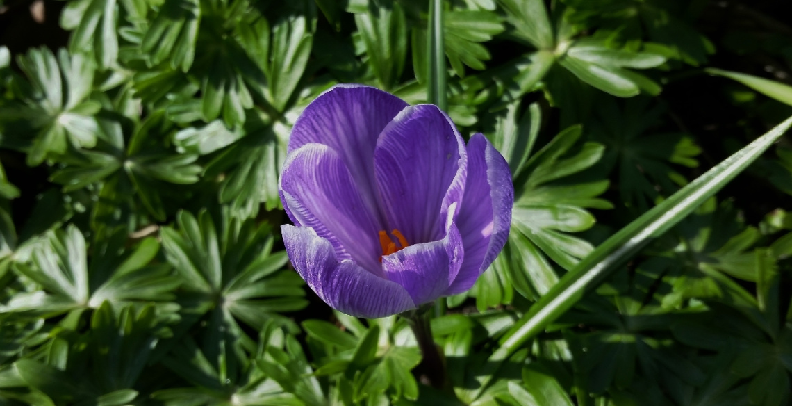 On A Wonderful Spring Day...