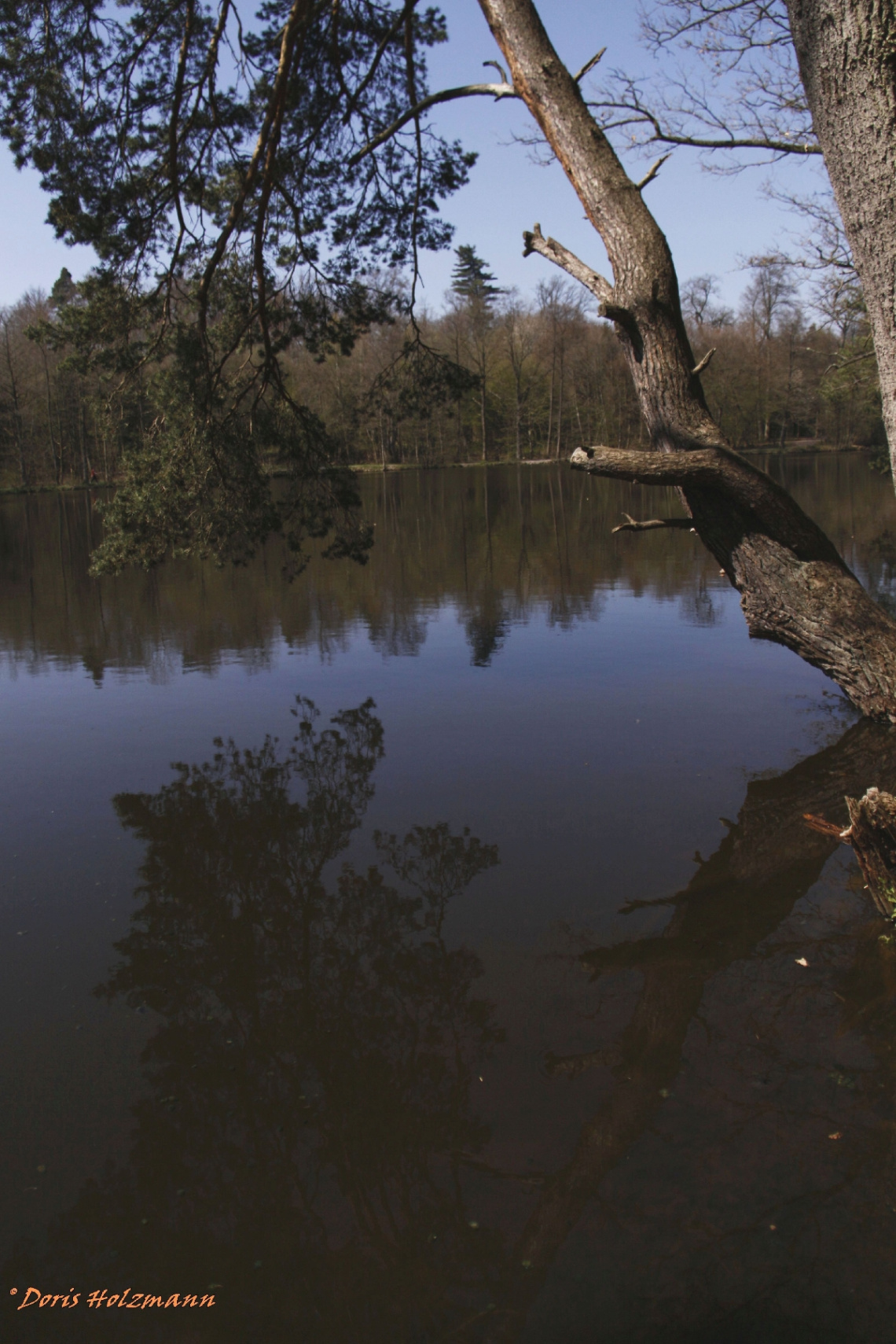 Bärensee (Stuttgart/Baden-Württemberg/Germany)