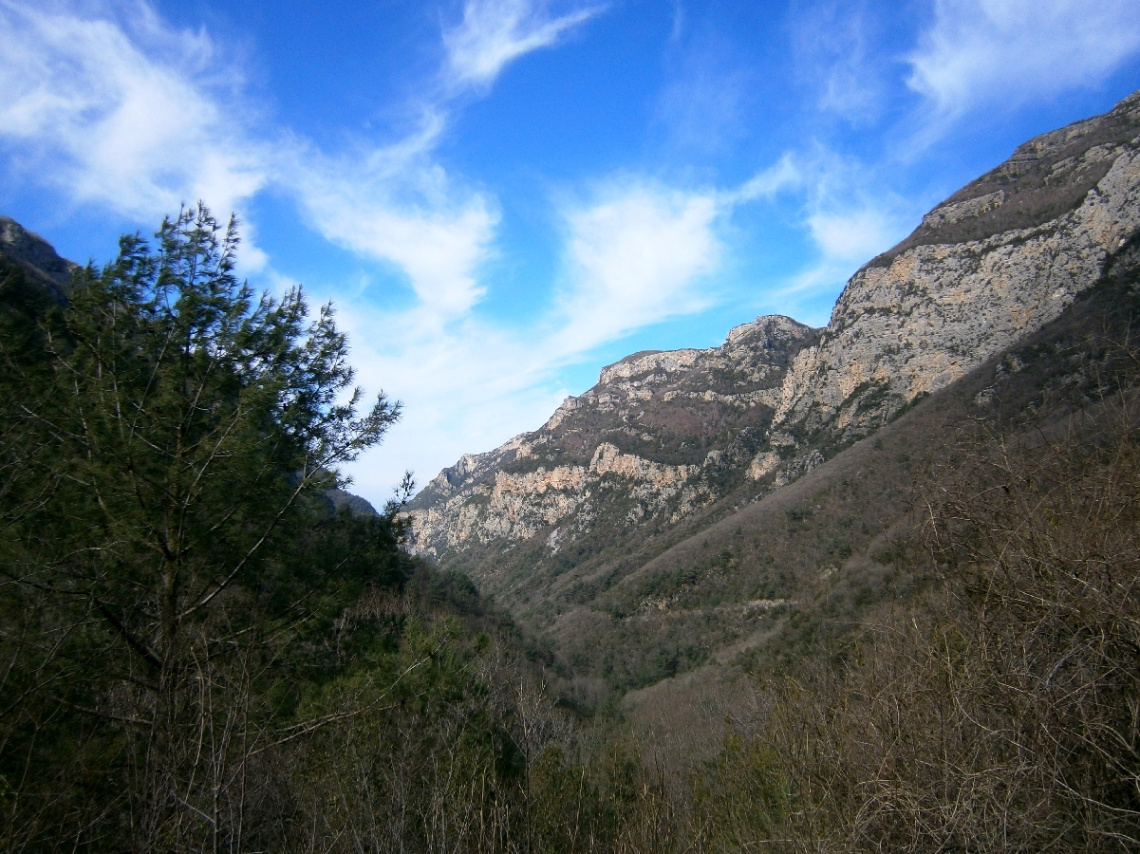 AMANOSLAR 2