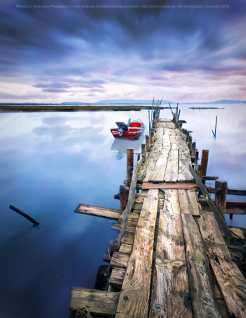 In The Silence Of The Waters