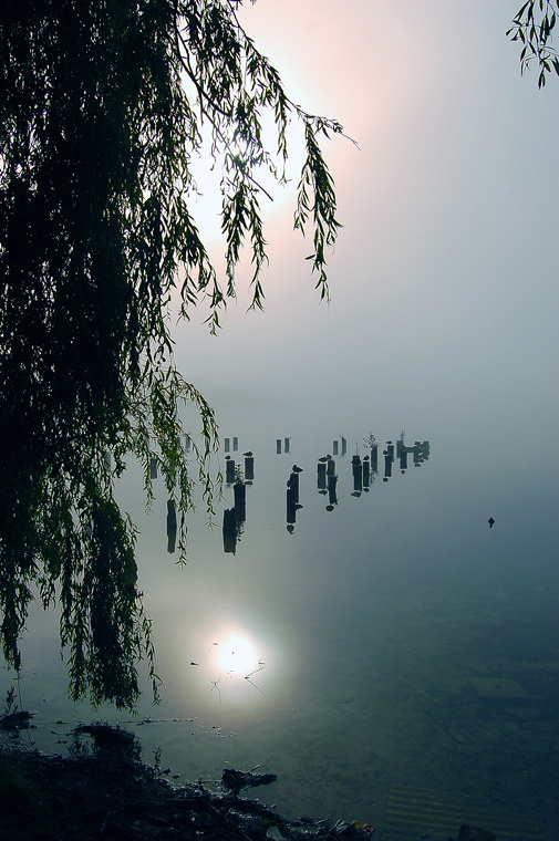 In the fog