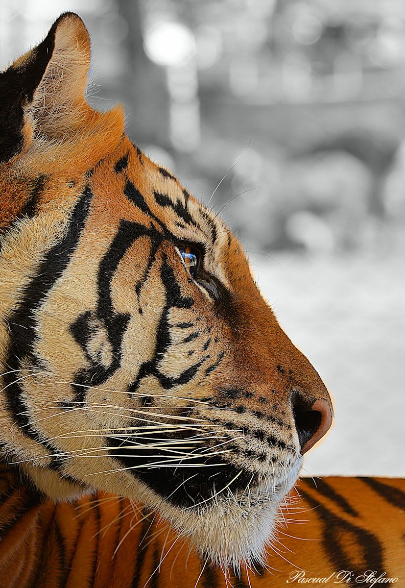 Dangerous Profile