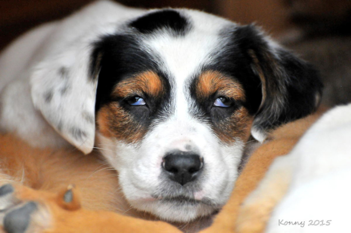 talking with the eyes .. :)) 