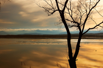 before sunset