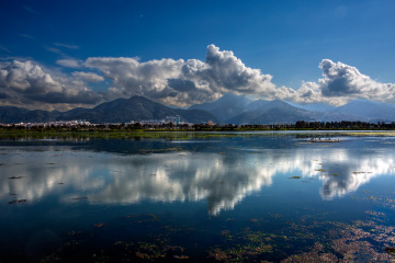 Reflection