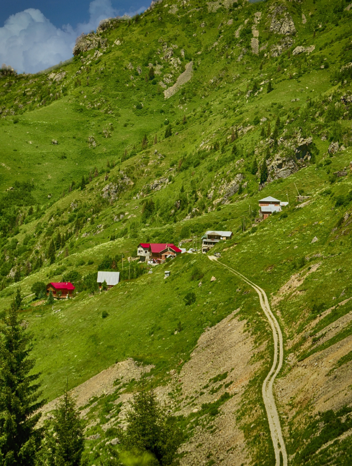 karadeniz güzeligi
