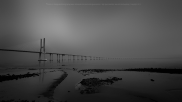 Vasco da Gama Bridge
