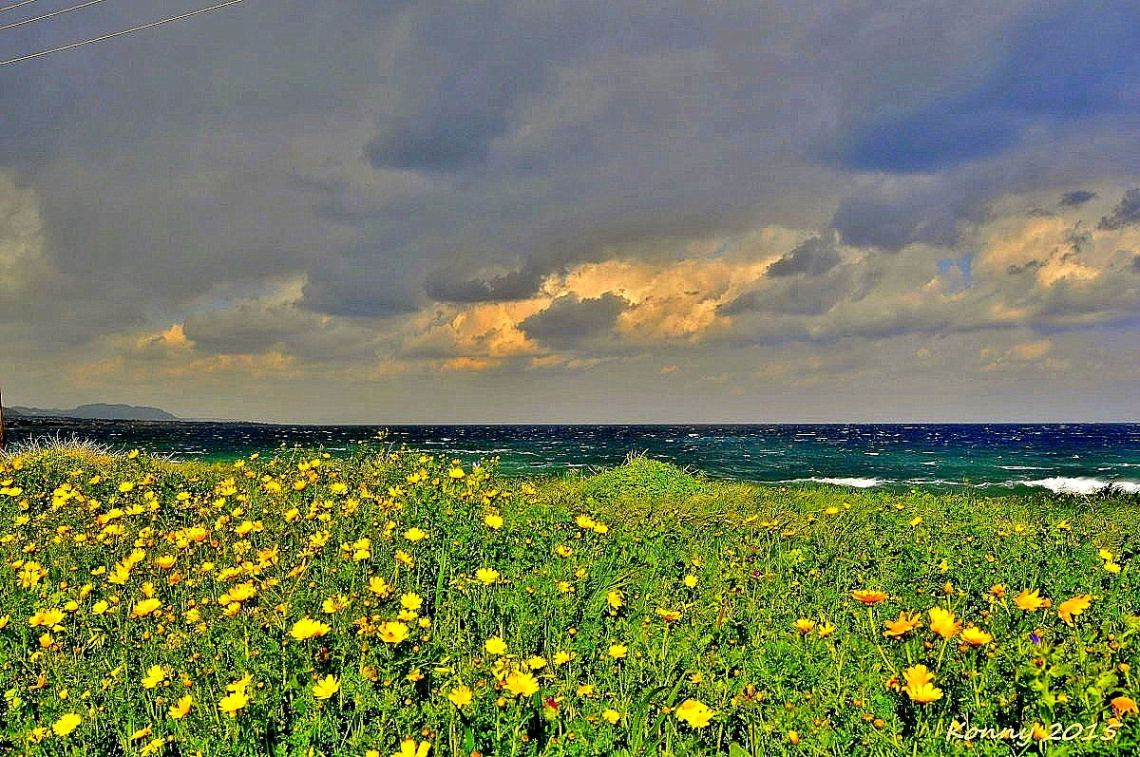 stormy springtime day near the sea 