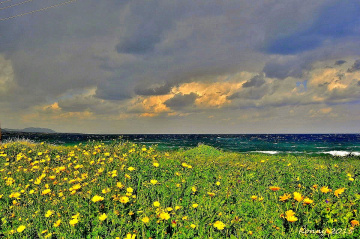 stormy springtime day near the sea 