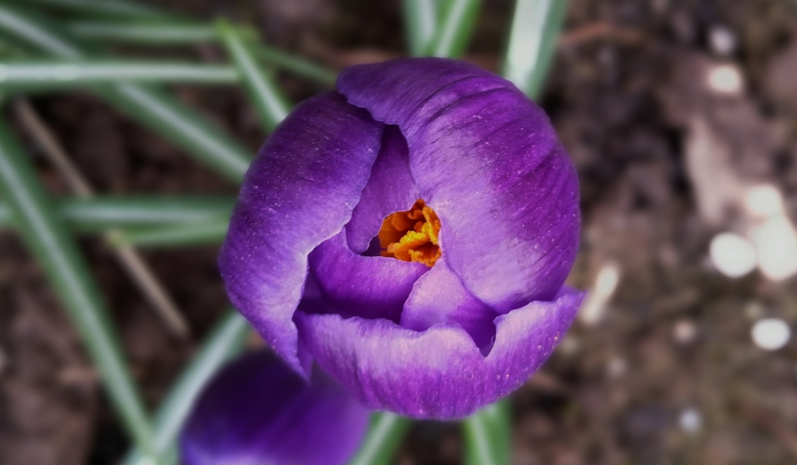 Two Colors